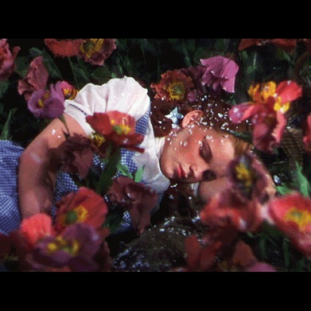 Meet your Posher, April